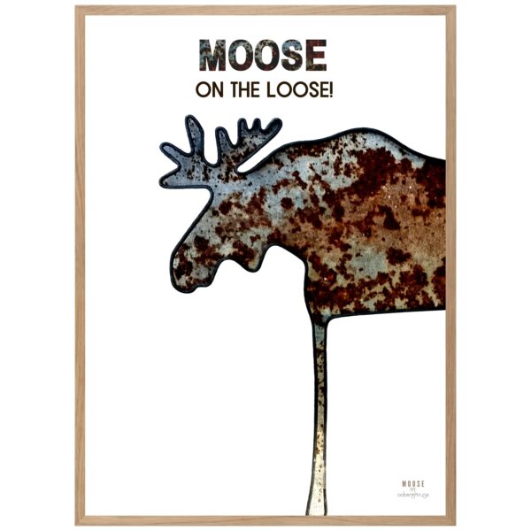 Kunst til væggen. Kunstplakat med titlen "Moose on the loose"